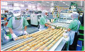 食品滾筒輸送機