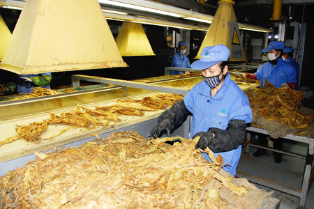 煙草鏈板輸送機(jī)