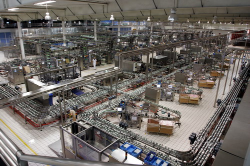 乳品夾瓶鏈板輸送機