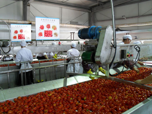 蔬菜滾筒輸送機(jī)