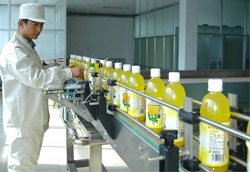 果汁鏈板輸送機(jī)