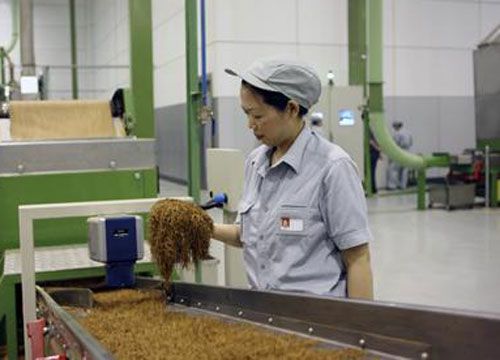 煙草托輥輸送機