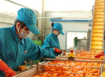 飲料鏈板輸送機(jī)