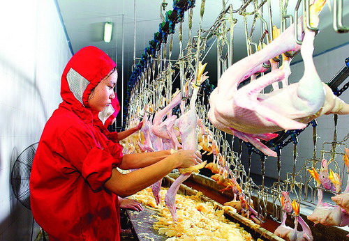 屠宰托輥輸送機(jī)