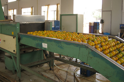 �LͲݔ�͙C(j��)