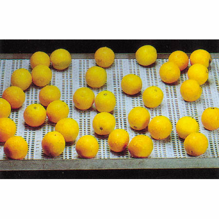 拖鏈輸送機(jī)