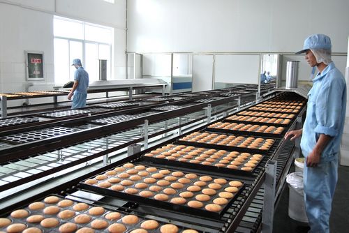 食品鏈條輸送機(jī)